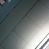 (Category: ) located in . Submitted by sgkclh2214470 (Listing ID 1449756974, Image 1). Description: .