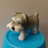 （分類：）位於 。 由 raymondcelia 提交（商品編號 1103412373，圖片 1）。簡介： 。