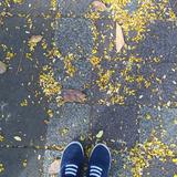 (Category: ) located in . Submitted by smilezx (Listing ID 1447763801, Image 1). Description: .
