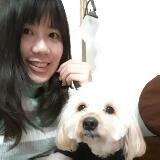 由 kokojuju (刊登 ID 1367952949，圖片 1) 提交，位於 的 (類別：)，說明：。
