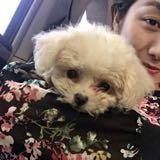 (Category: ) located in . Submitted by vanivanilla (Listing ID 1252745857, Image 1). Description: .