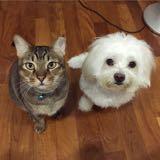 (Category: ) located in . Submitted by happybakingday (Listing ID 1375686421, Image 1). Description: .