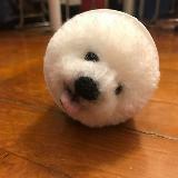 （分類：）位於 。 由 ayankey 提交（商品編號 1361016938，圖片 1）。簡介： 。