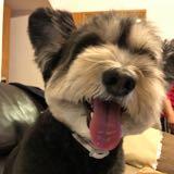 （分類：）位於 。 由 jkhyy 提交（商品編號 1378759853，圖片 1）。簡介： 。