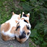 （分類：）位於 。 由 joejoby 提交（商品編號 1374505424，圖片 1）。簡介： 。