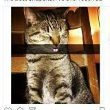 (Category: ) located in . Submitted by kjd1000 (Listing ID 1379250819, Image 1). Description: .