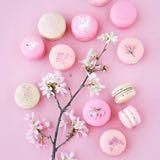 由 pinkskychu (刊登 ID 1378982628，圖片 1) 提交，位於 的 (類別：)，說明：。