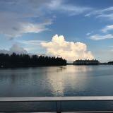 (Category: ) located in . Submitted by samwz (Listing ID 1314255867, Image 1). Description: .