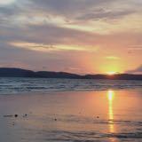 (分類:)位於 。 由 charzes 提交(商品編號 1468795870,圖片 1)。簡介: 。