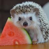 (Category: ) located in . Submitted by marietryingtokondo (Listing ID 1377893941, Image 1). Description: .