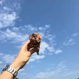 （分類：）位於 。 由 chaunu 提交（商品編號 1351819766，圖片 1）。簡介： 。
