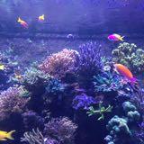 (Category: ) located in . Submitted by rene919 (Listing ID 1376072134, Image 1). Description: .