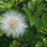 (分類:)位於 。 由 howcanyou 提交(商品編號 1427941854,圖片 1)。簡介: 。