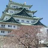 （分類：）位於 。 由 lovefrancelipee 提交（商品編號 1301061511，圖片 1）。簡介： 。