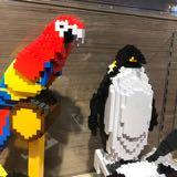 （分類：）位於 。 由 baw_co 提交（商品編號 1380312270，圖片 1）。簡介： 。