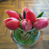 (Kategori: ) berada di . Dikirim oleh gantunganpink (ID iklan 1338726989, Gambar 1). Deskripsi: .