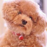 （分類：）位於 。 由 sodabb 提交（商品編號 1298811424，圖片 1）。簡介： 。