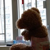 （分類：）位於 。 由 kpmama 提交（商品編號 1385695115，圖片 1）。簡介： 。