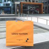 LOUIS VUITTON Monogram Titanium Camera Bag 736751