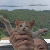 （分類：）位於 。 由 dknycup 提交（商品編號 1375844631，圖片 1）。簡介： 。