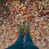 (Category: ) located in . Submitted by melissak.yh (Listing ID 1376319771, Image 1). Description: .