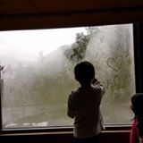 (Category: ) located in . Submitted by didiheng (Listing ID 1380643564, Image 1). Description: .