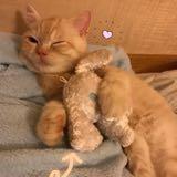 （分類：）位於 。 由 mimimi222 提交（商品編號 1331896619，圖片 1）。簡介： 。