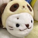 (分類:)位於 。 由 sirotan.genuine 提交(商品編號 1469625241,圖片 1)。簡介: 。