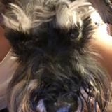（分類：）位於 。 由 suffiad 提交（商品編號 1332992631，圖片 1）。簡介： 。