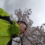 (Category: ) located in . Submitted by geraldtan55 (Listing ID 1343248036, Image 1). Description: .