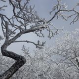 （分類：）位於 。 由 00o_o00 提交（商品編號 1375259805，圖片 1）。簡介： 。
