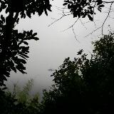 （分類：）位於 。 由 gracelorna 提交（商品編號 1229921570，圖片 1）。簡介： 。