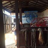 (Category: ) located in . Submitted by Old.is.Gold (Listing ID 1339019446, Image 1). Description: .