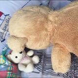 (Category: ) located in . Submitted by pami_shop (Listing ID 1265021791, Image 1). Description: .