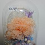 （分類：）位於 。 由 owlpad 提交（商品編號 1377137390，圖片 1）。簡介： 。