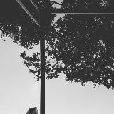 (Category: ) located in . Submitted by prxfns (Listing ID 1063178138, Image 1). Description: .