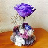 （分類：）位於 。 由 thepurplerose 提交（商品編號 1383203222，圖片 1）。簡介： 。