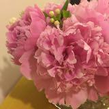 (分類:)位於 。 由 rose_muse 提交(商品編號 1466890036,圖片 1)。簡介: 。