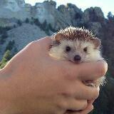 (Category: ) located in . Submitted by 7200ft (Listing ID 1277033432, Image 1). Description: .