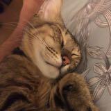 (Category: ) located in . Submitted by budgetkitty (Listing ID 1378804188, Image 1). Description: .