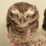（分類：）位於 。 由 cwth2 提交（商品編號 1149382563，圖片 1）。簡介： 。