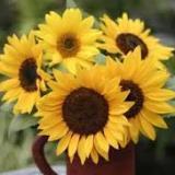 (Category: ) located in . Submitted by superb1 (Listing ID 1035795263, Image 1). Description: .