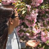 (Category: ) located in . Submitted by mami.maui (Listing ID 1328435577, Image 1). Description: .