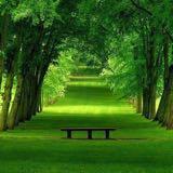 (Category: ) located in . Submitted by fpdychiao (Listing ID 1385343425, Image 1). Description: .