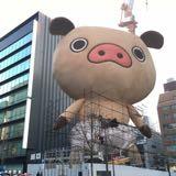 （分類：）位於 。 由 vtotoro 提交（商品編號 1371017136，圖片 1）。簡介： 。