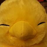 (Category: ) located in . Submitted by chocobo_shop (Listing ID 1061422459, Image 1). Description: .
