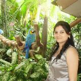 (Category: ) located in . Submitted by rina.pathania (Listing ID 1376050819, Image 1). Description: .