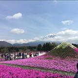 （分類：）位於 。 由 .appletree 提交（商品編號 123984824，圖片 1）。簡介： 。