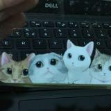 (Category: ) located in . Submitted by cutiemeow (Listing ID 235315843, Image 1). Description: .