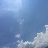 （分類：）位於 。 由 Kathy.W. 提交（商品編號 1281266514，圖片 1）。簡介： 。